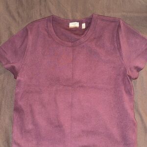 Aritzia BestHug™ Little Ribbed T-Shirt size XL in cardamon